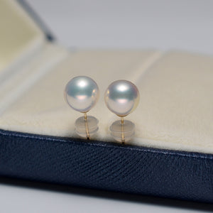 Sakura Akoya Stud Earrings