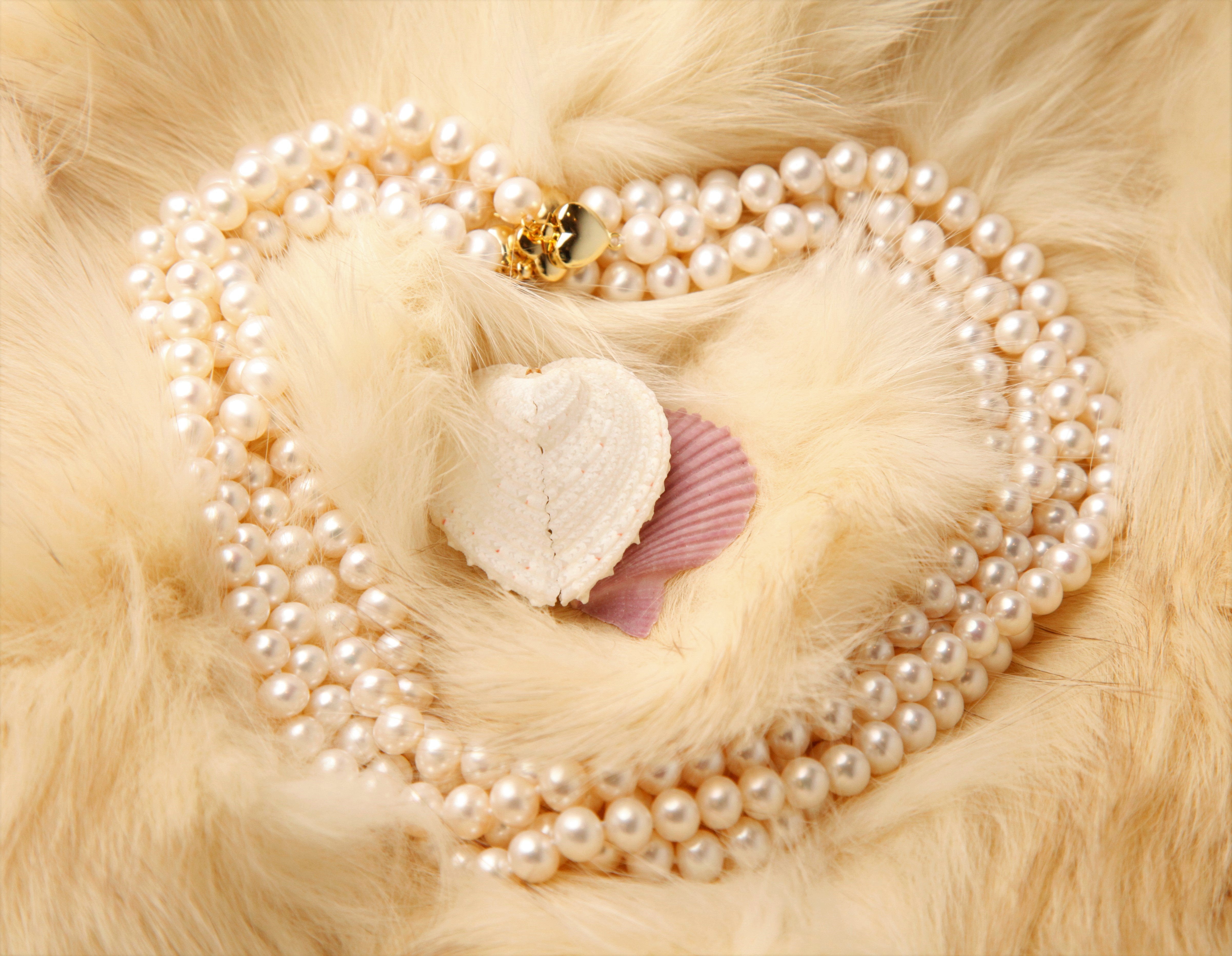 Collier classique de perle et bracelet Set- Blanc