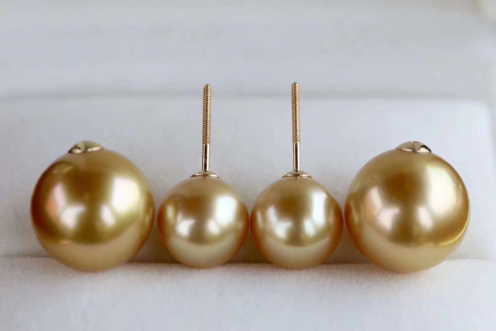 Golden Double Pearl Earrings